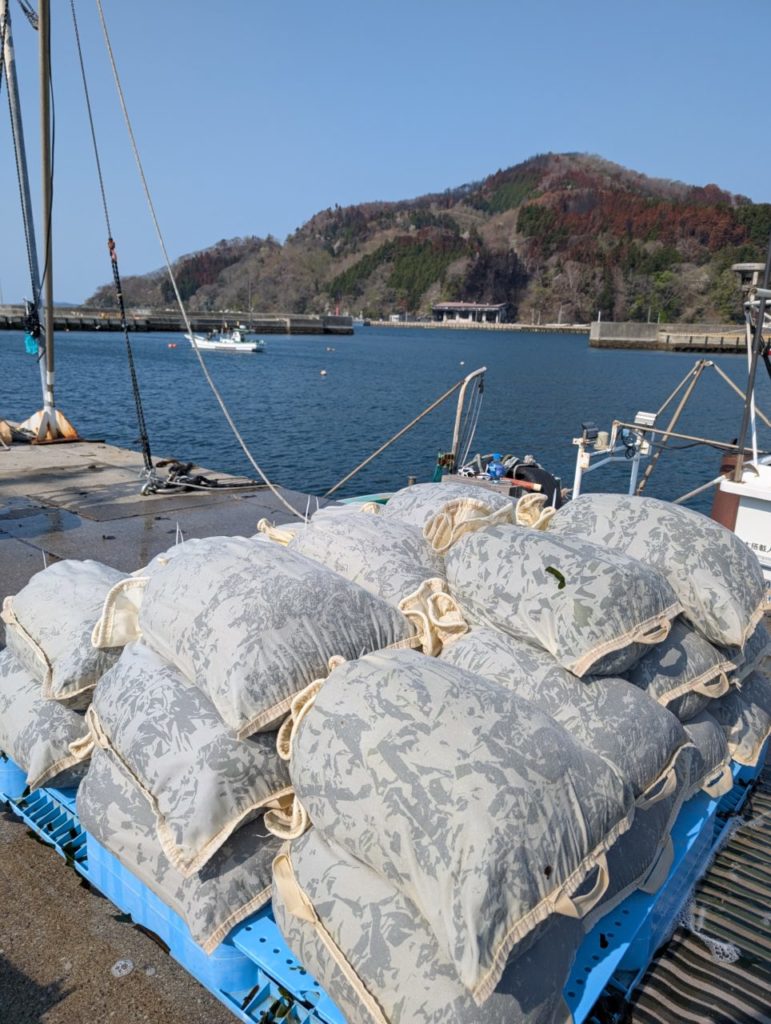綾里ワカメ大作戦！の活動の様子
