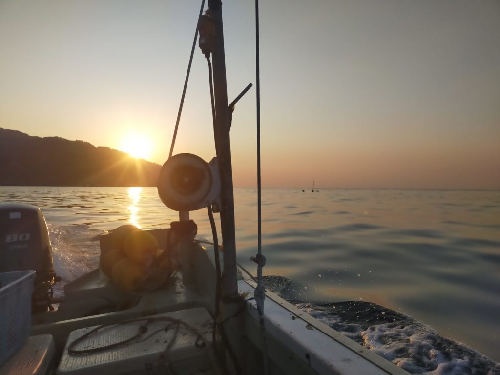 綾里ワカメ大作戦！の活動の様子