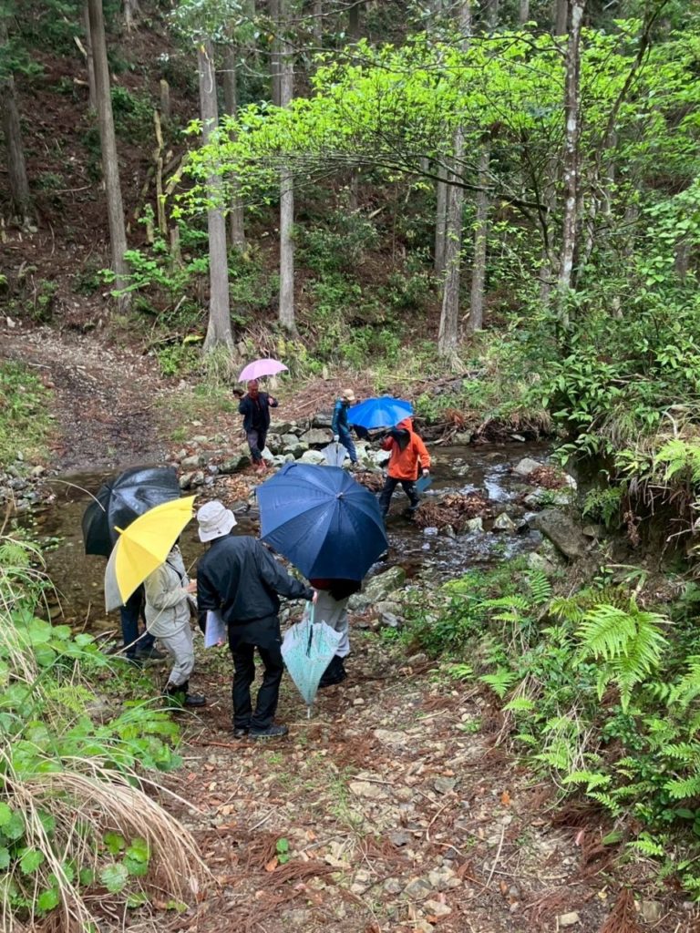 村おこしボランティア【四万十川・林業コース】での活動の様子