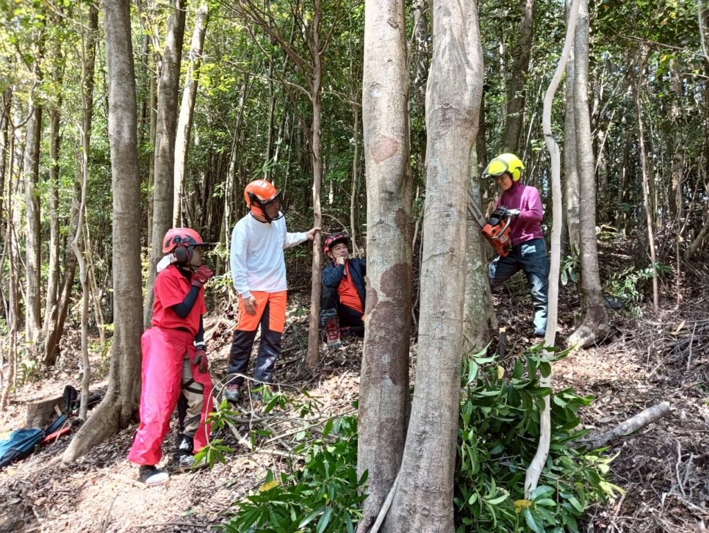 村おこしボランティア【四万十川・林業コース】での活動の様子