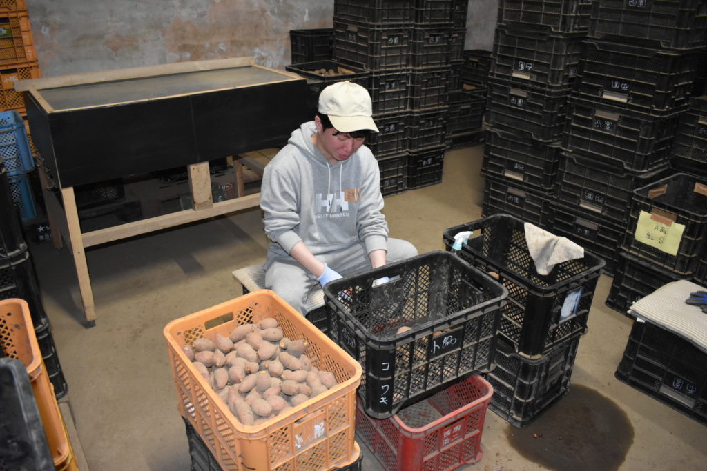 村おこしボランティア【種子島コース】での活動の様子