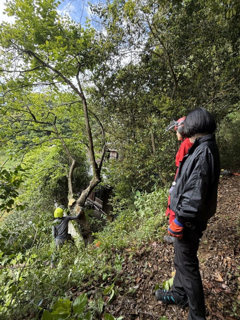 村おこしボランティア【四万十川・林業コース】での活動の様子