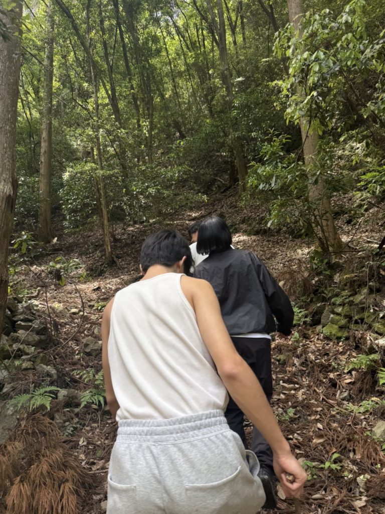 村おこしボランティア【四万十川・林業コース】での活動の様子