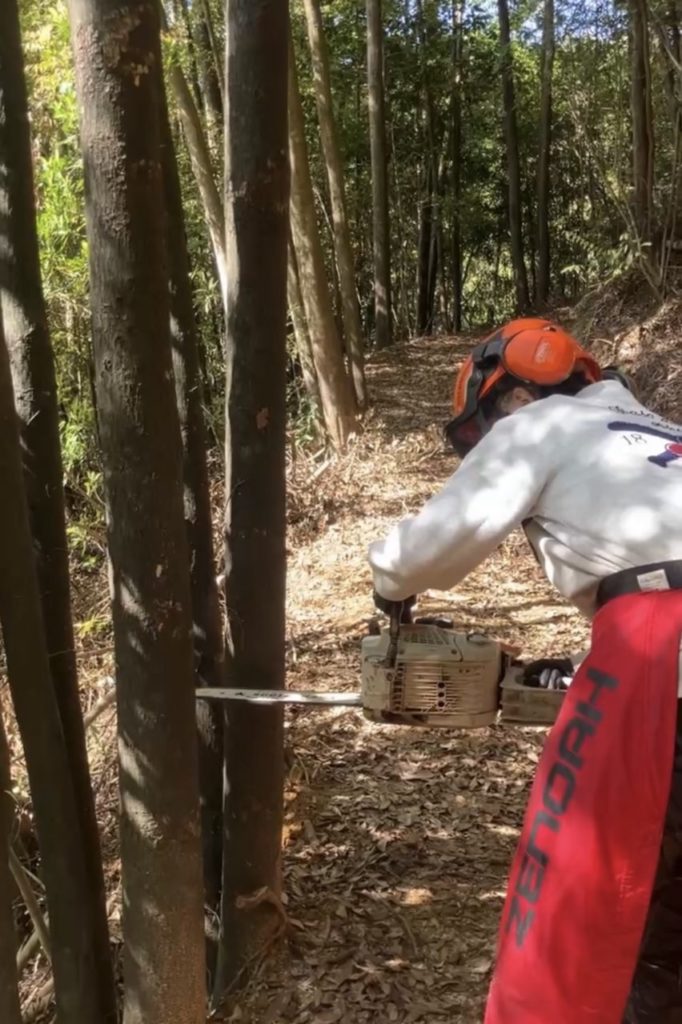 村おこしボランティア【四万十川・林業コース】での活動の様子