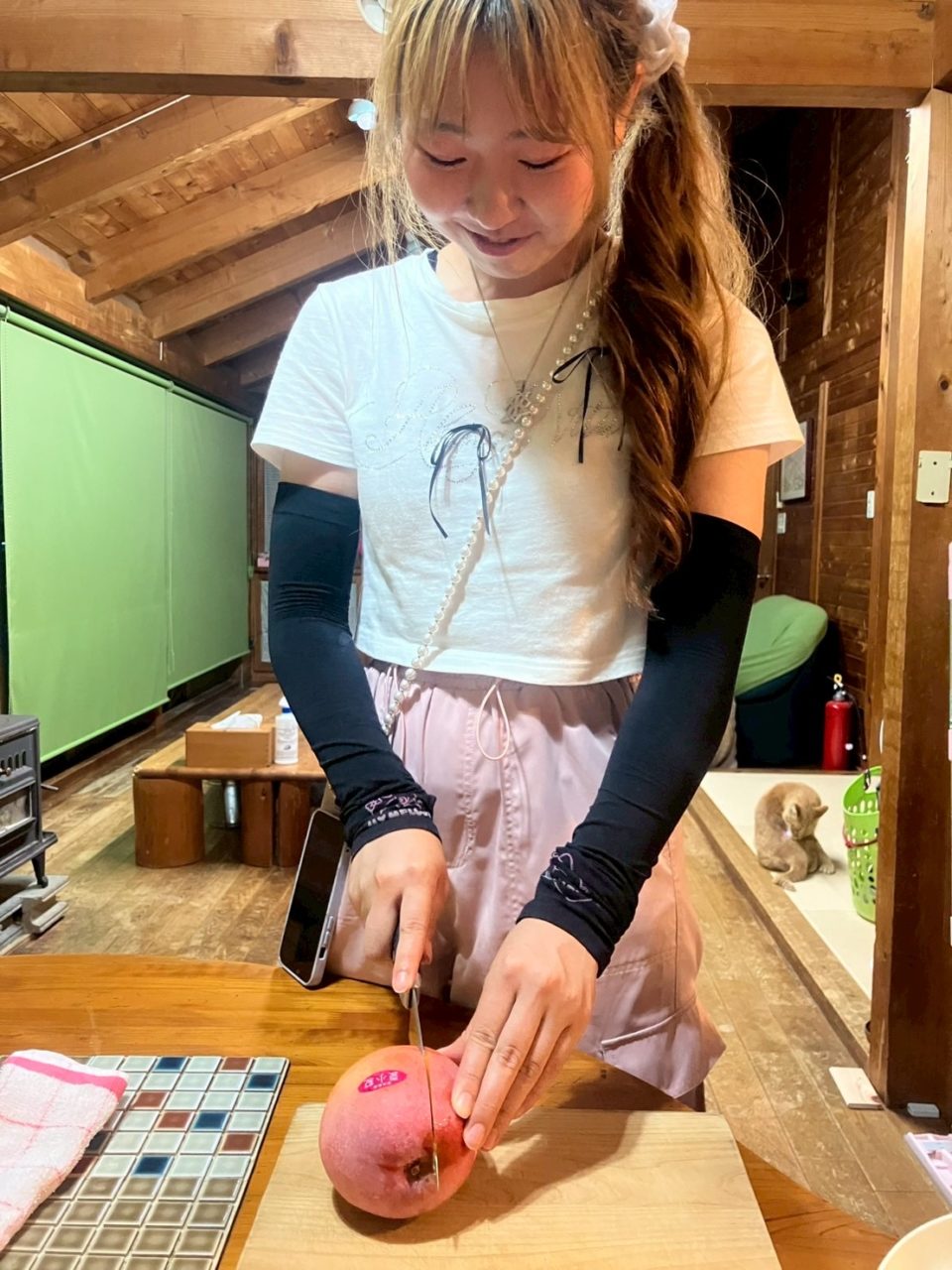 村おこしボランティア【四万十川・リバーガイドコース】での活動の様子