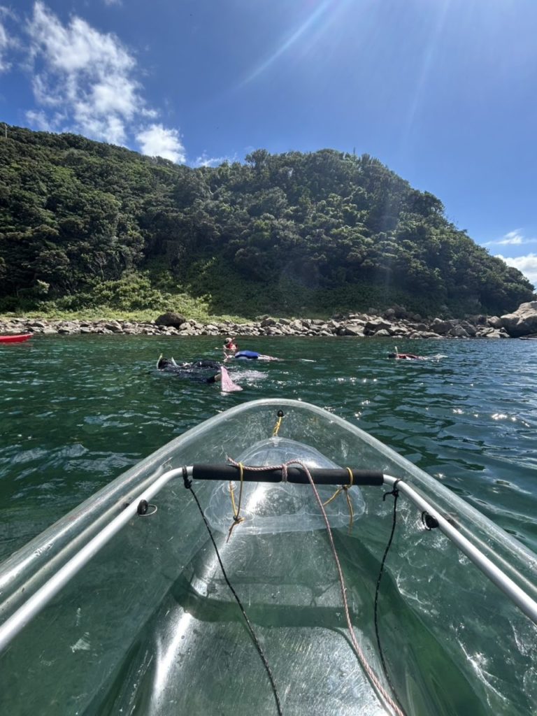 村おこしボランティア【四万十川・リバーガイドコース】での活動の様子
