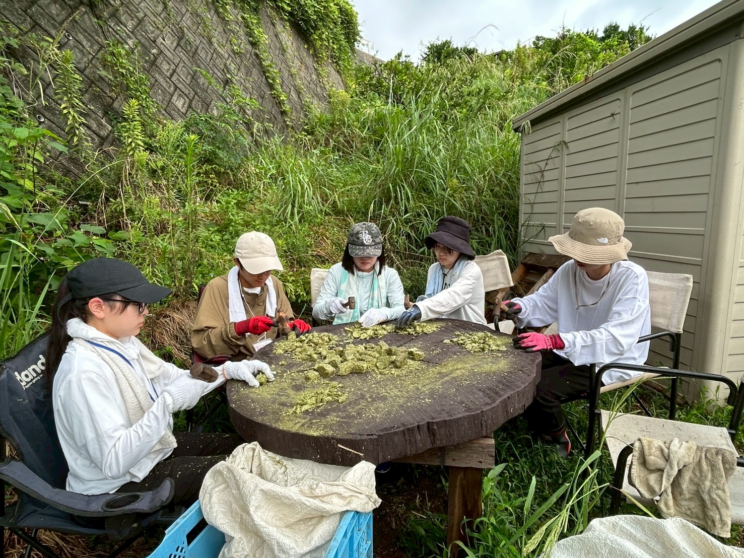 村おこしボランティア【江田島コース】での活動の様子