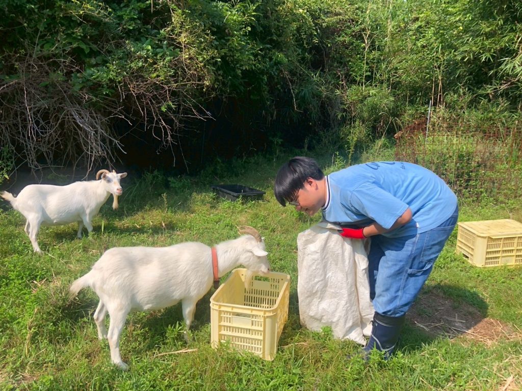 村おこしボランティア【江田島コース】での活動の様子