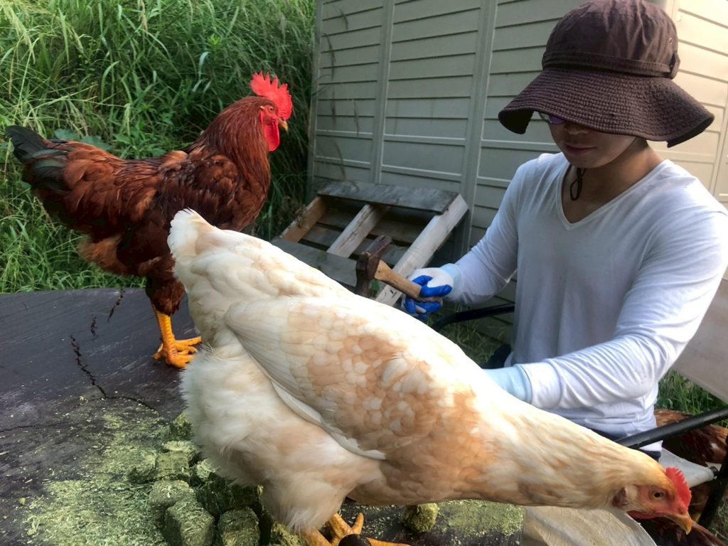 村おこしボランティア【江田島コース】での活動の様子