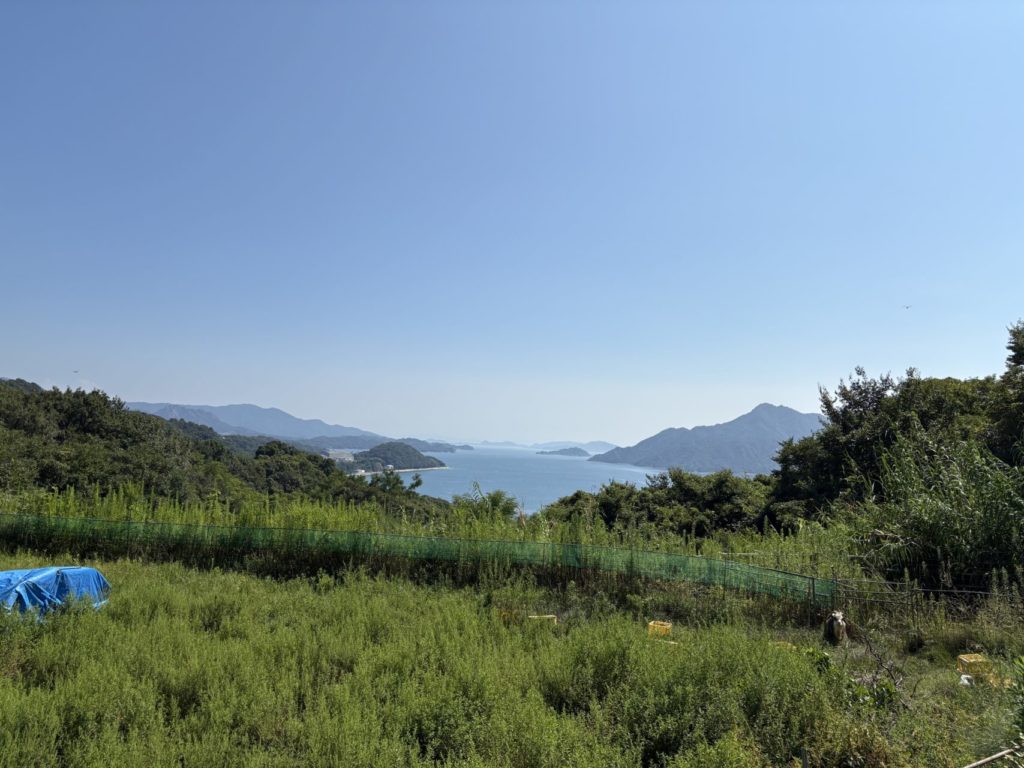 村おこしボランティア【江田島コース】での活動の様子