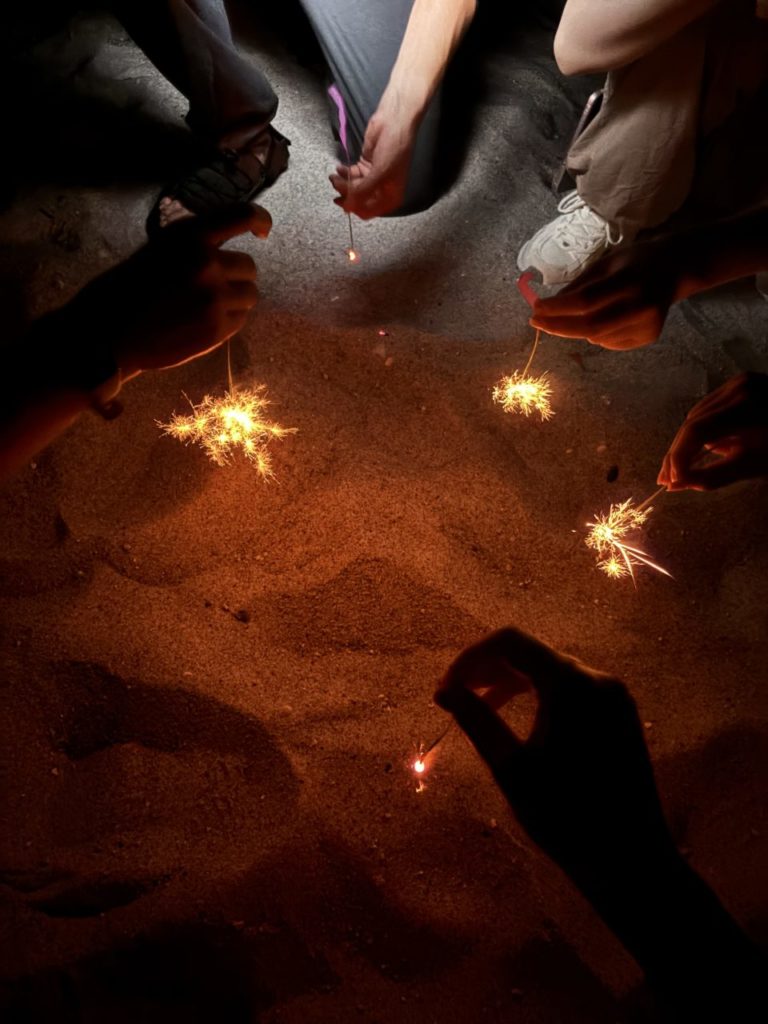 村おこしボランティア【神津島コース】での活動の様子