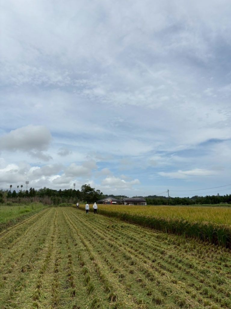 村おこしボランティア【川南町コース】での活動の様子