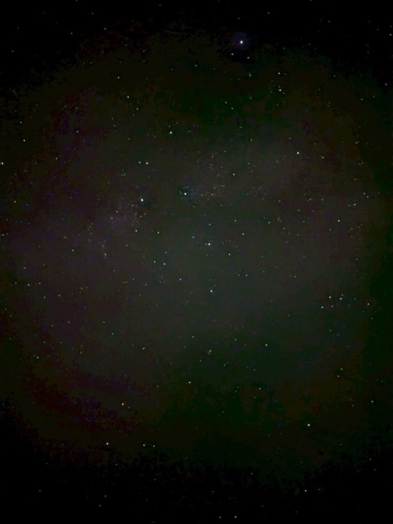 村おこしボランティア【川南町コース】での活動の様子