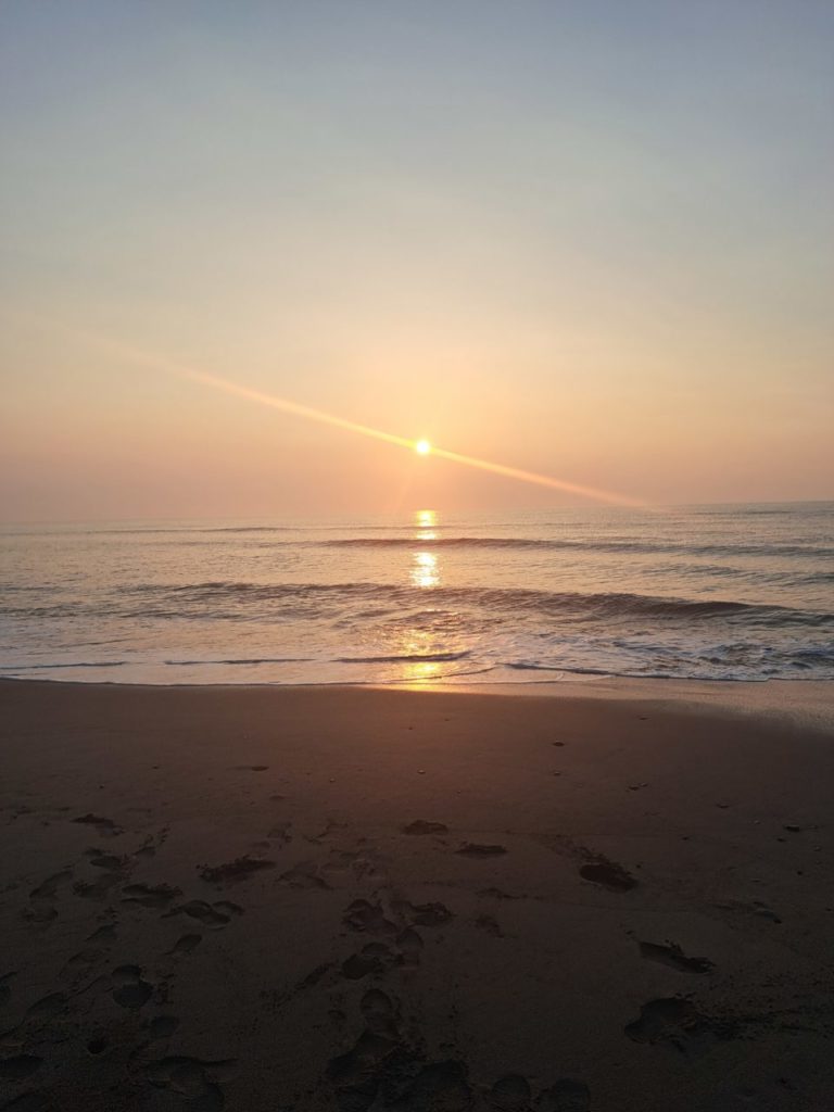 村おこしボランティア【川南町コース】での活動の様子