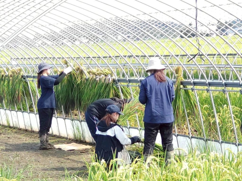 村おこしボランティア【太田町コース】での活動の様子