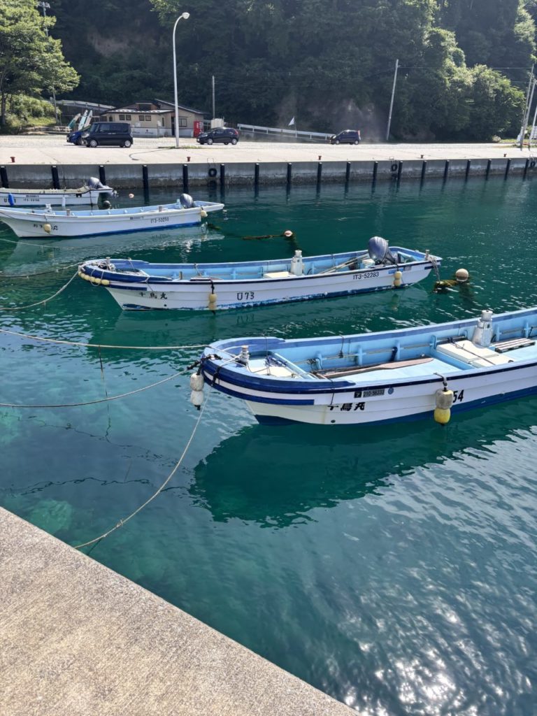 村おこしボランティア【三陸漁場コース】での活動の様子