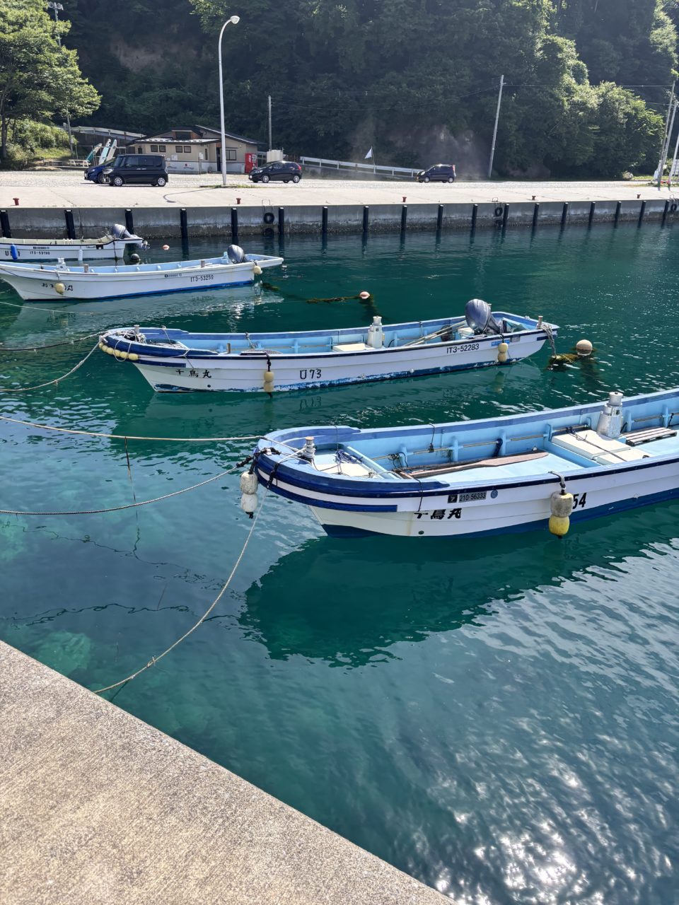 村おこしボランティア【三陸漁場コース】での活動の様子