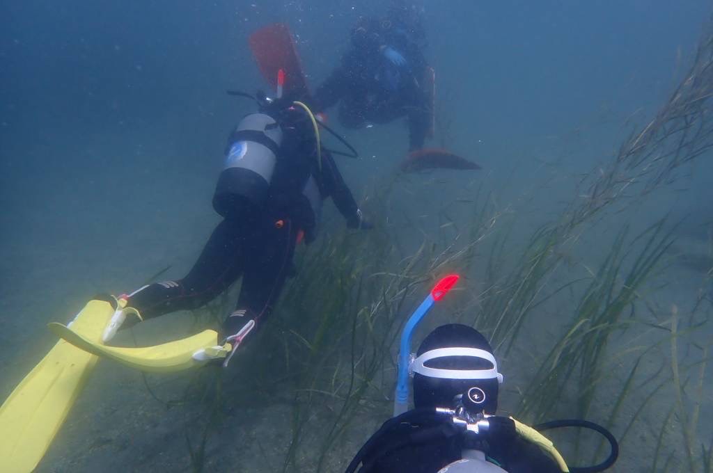 村おこしボランティア【三陸漁場コース】での活動の様子