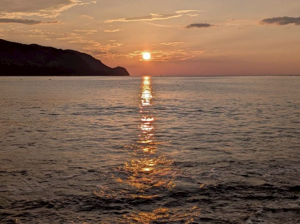 村おこしボランティア【三陸漁場コース】での活動の様子