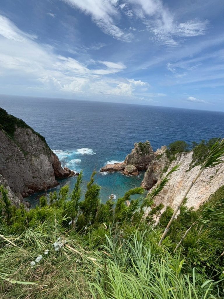 村おこしボランティア【さつま竹島コース】での活動の様子