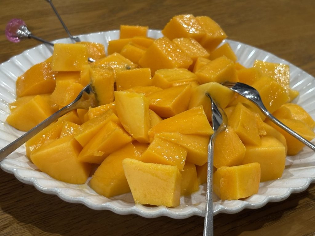 村おこしボランティア【種子島コース】での活動の様子