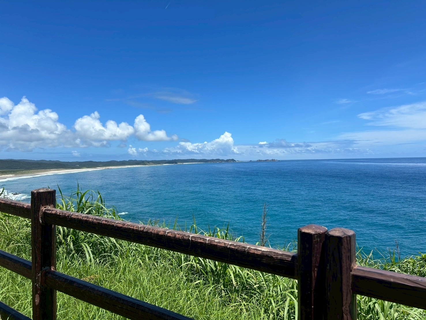 村おこしボランティア【種子島コース】での活動の様子