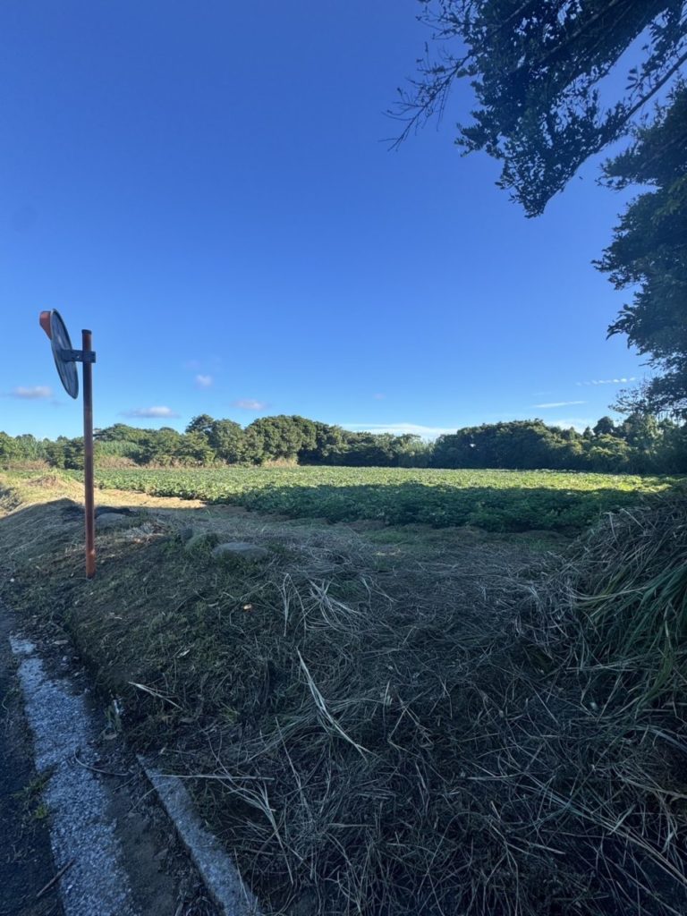 村おこしボランティア【種子島コース】での活動の様子