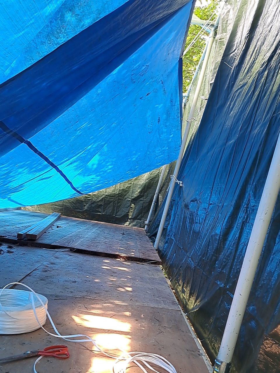 村おこしボランティア【徳之島コース】での活動の様子