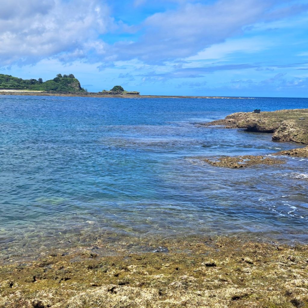 村おこしボランティア【徳之島コース】での活動の様子