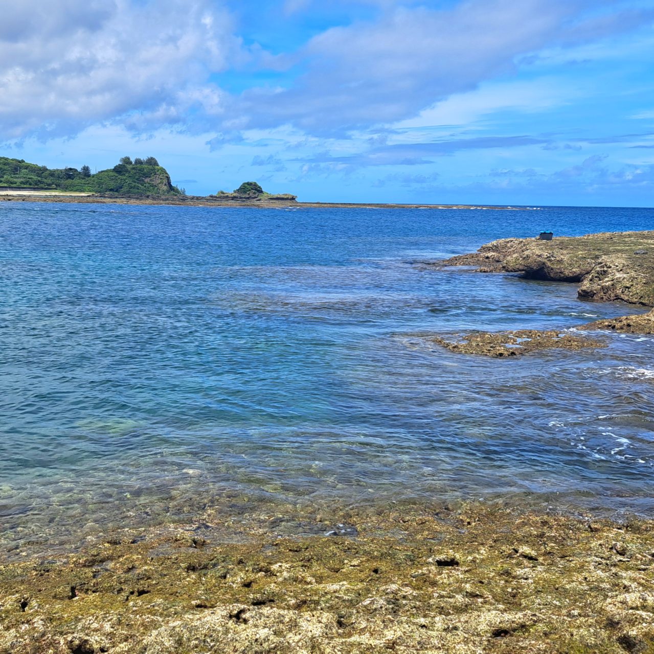 村おこしボランティア【徳之島コース】での活動の様子