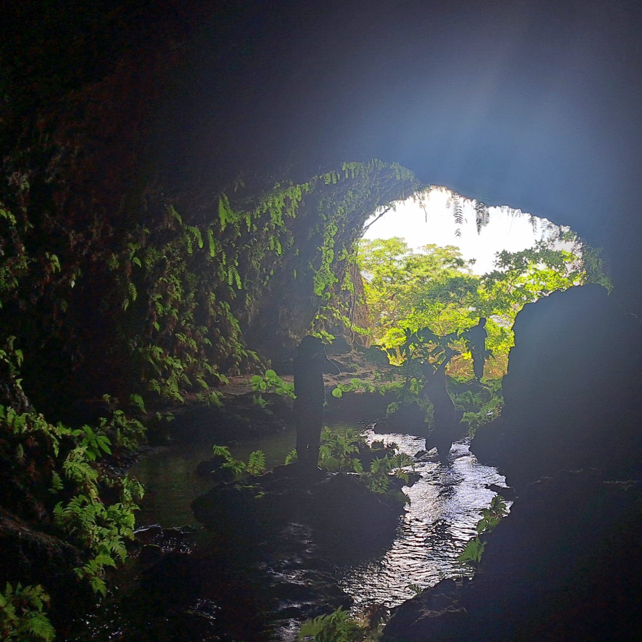 村おこしボランティア【徳之島コース】での活動の様子