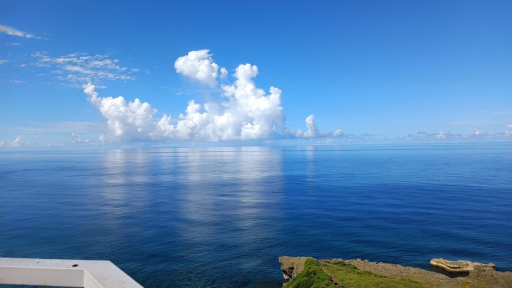 村おこしボランティア【徳之島コース】での活動の様子