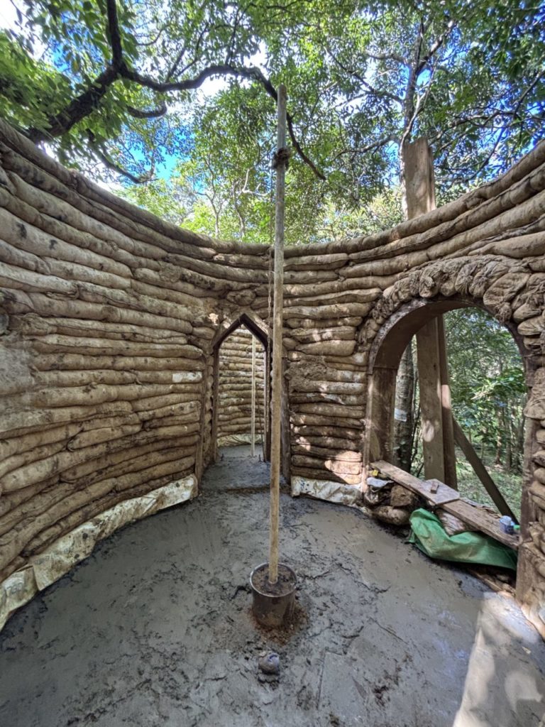 村おこしボランティア【徳之島コース】での活動の様子