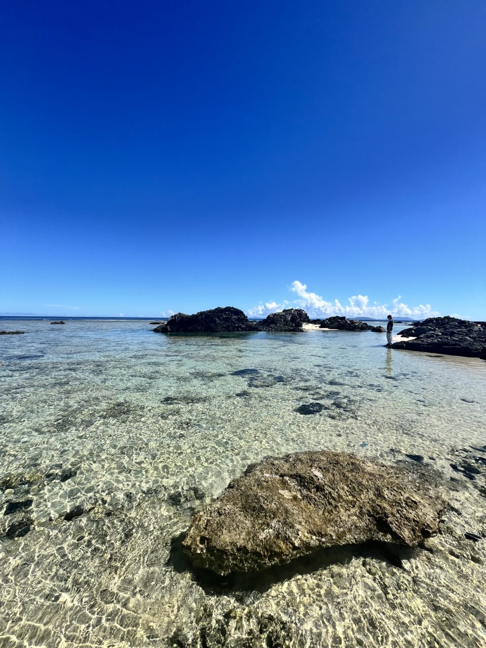 村おこしボランティア【徳之島コース】での活動の様子