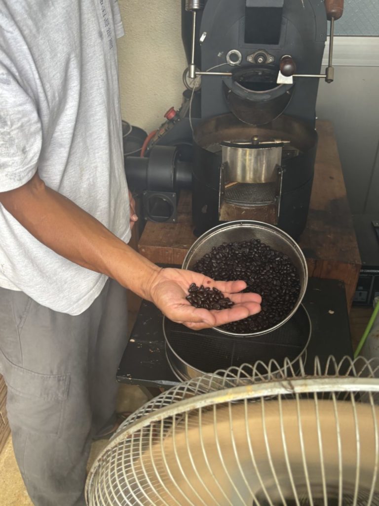 村おこしボランティア【徳之島コース】での活動の様子