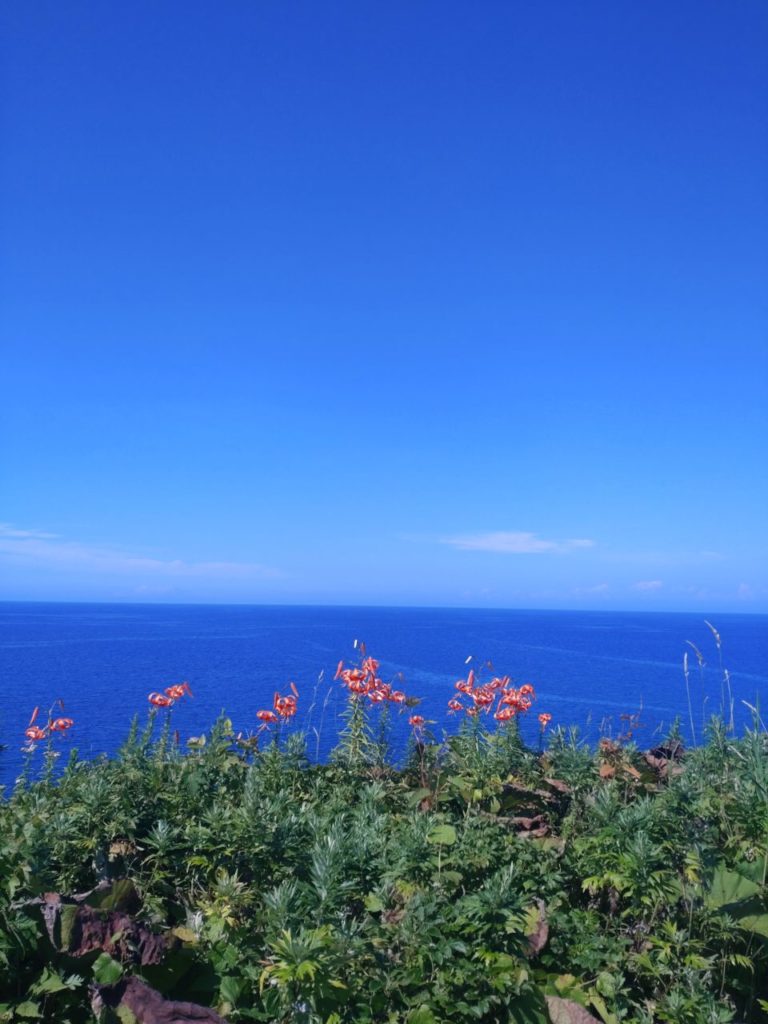 村おこしボランティア【焼尻島コース】での活動の様子