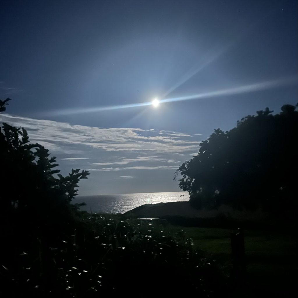 村おこしボランティア【焼尻島コース】での活動の様子