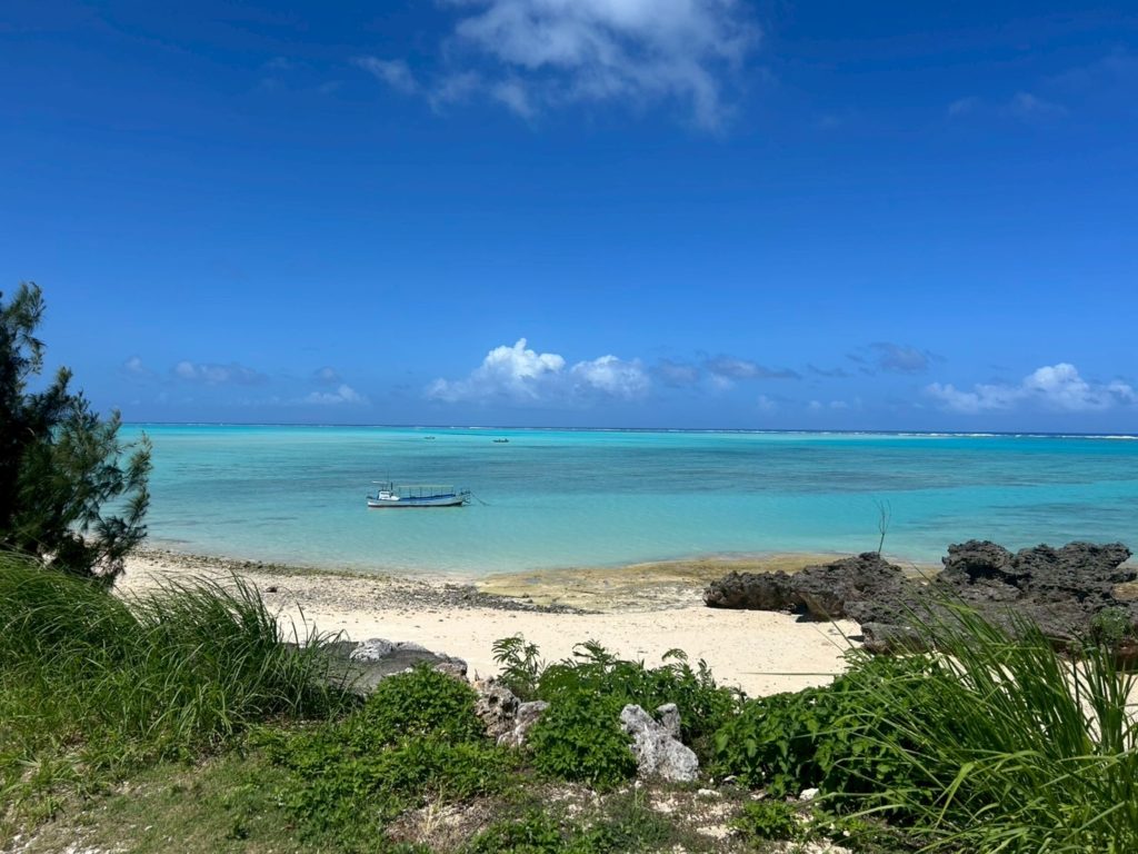 村おこしボランティア【与論島コース】での活動の様子