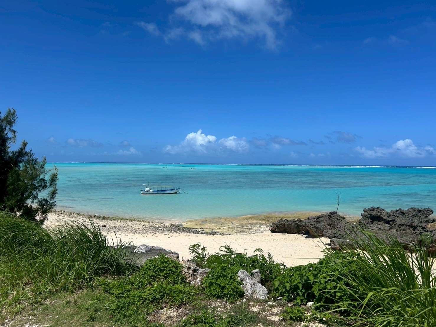 村おこしボランティア【与論島コース】での活動の様子
