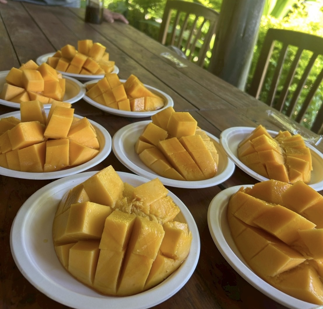 村おこしボランティア【与論島コース】での活動の様子