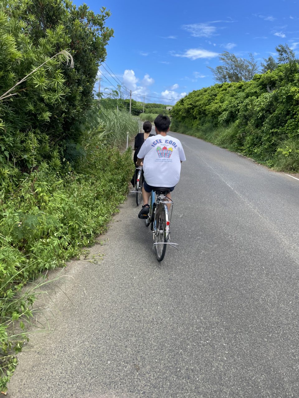 村おこしボランティア【与論島コース】での活動の様子