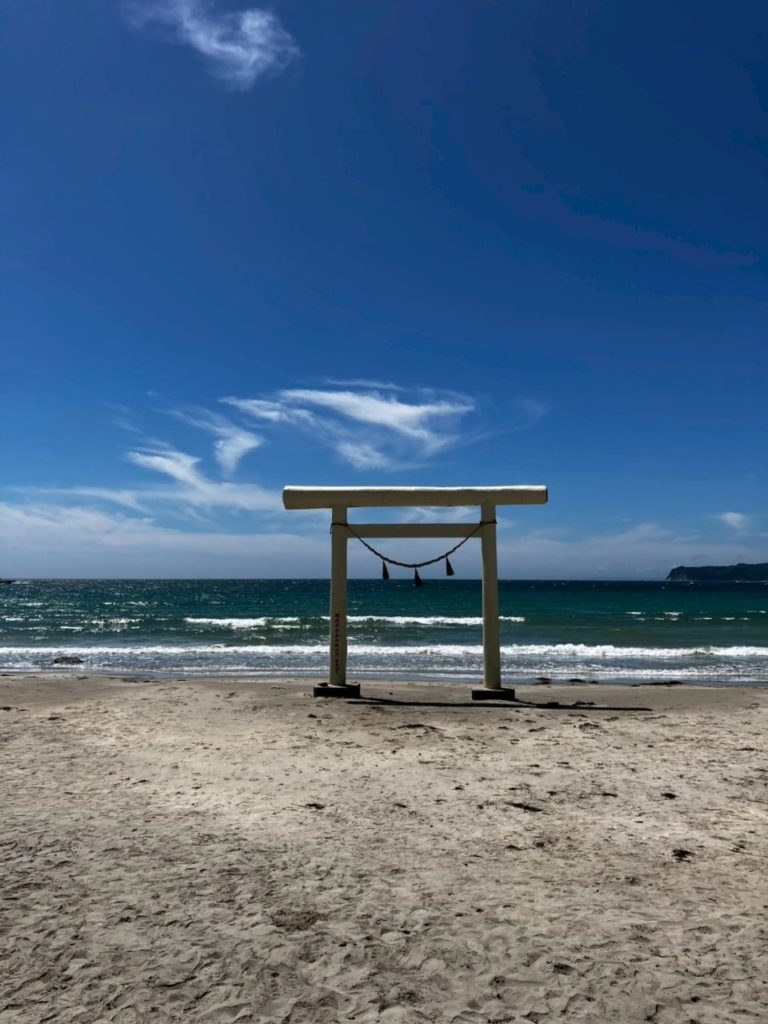 村おこしボランティア【長生郡コース】での活動の様子