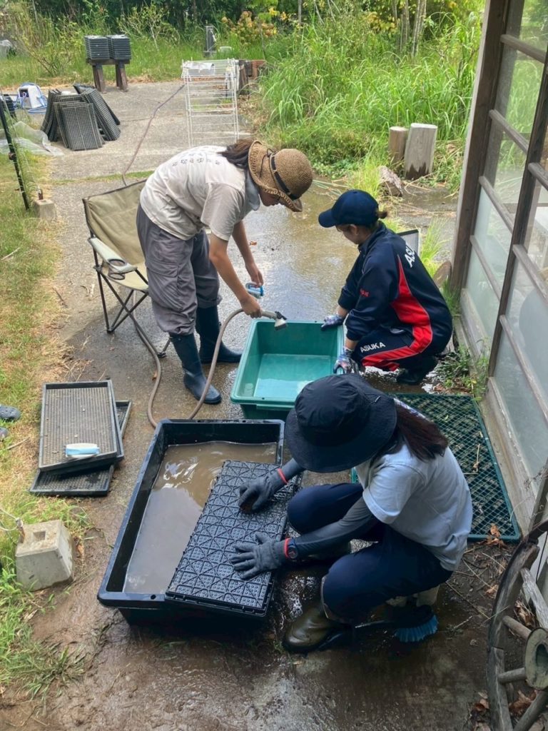 村おこしボランティア【長生郡コース】での活動の様子