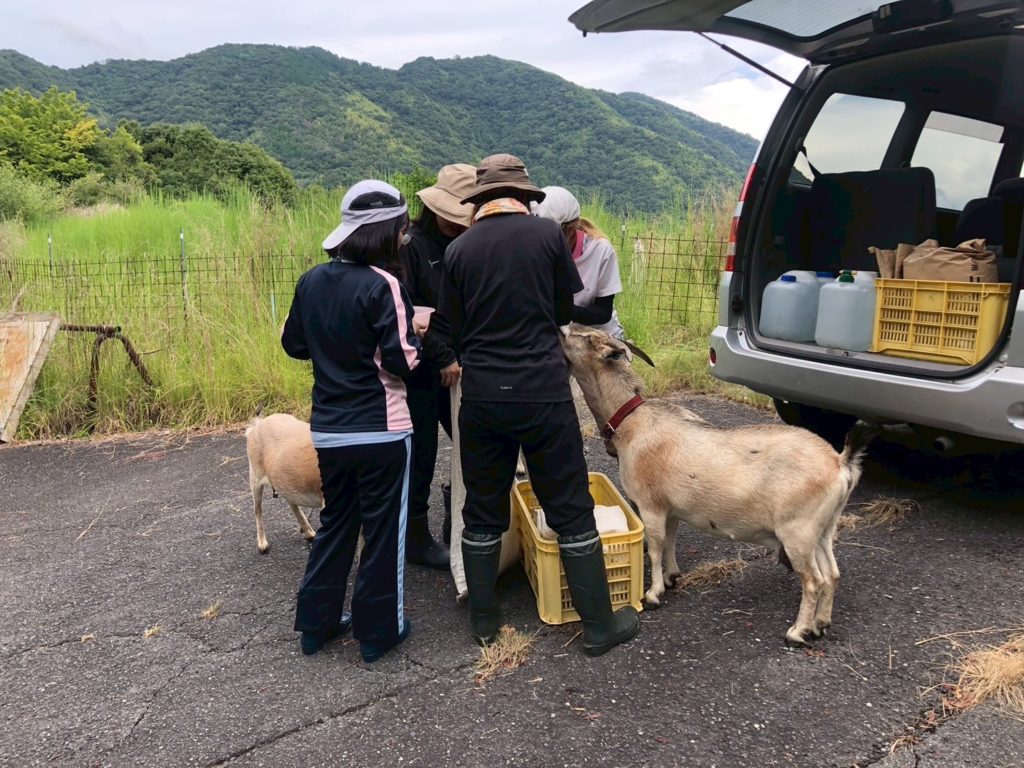 村おこしボランティア【江田島コース】での活動の様子