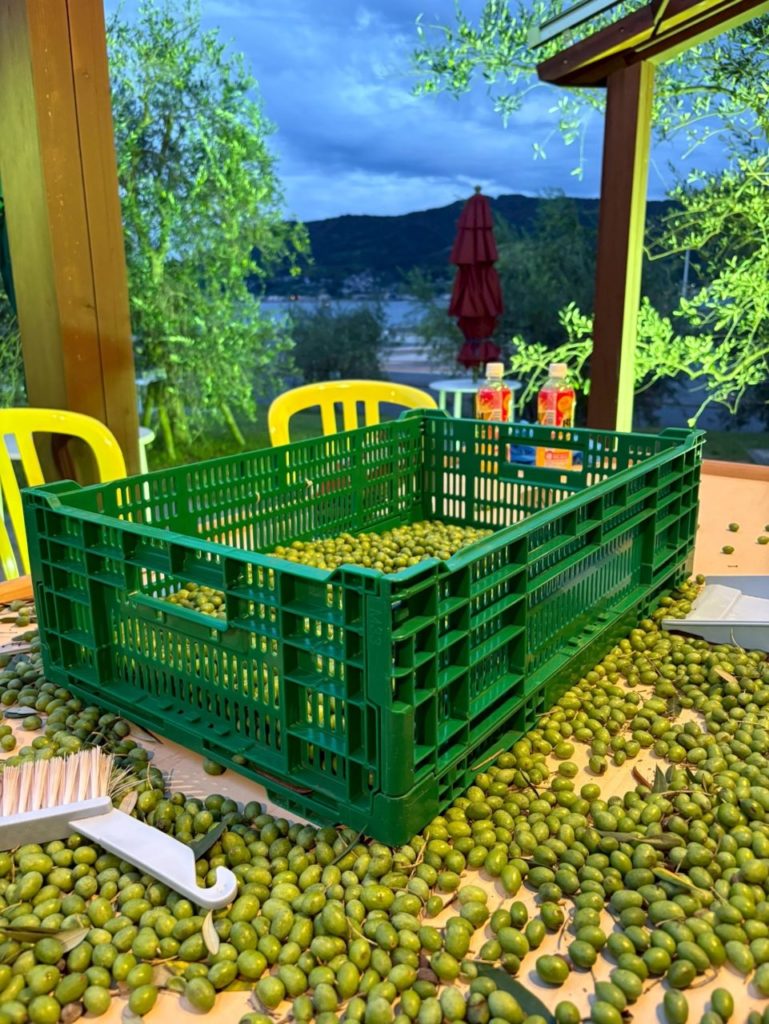 村おこしボランティア【江田島コース】での活動の様子