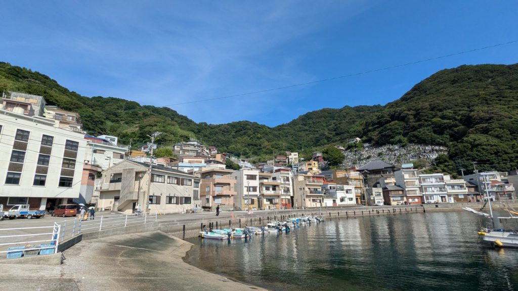 村おこしボランティア【保戸島コース】での活動の様子