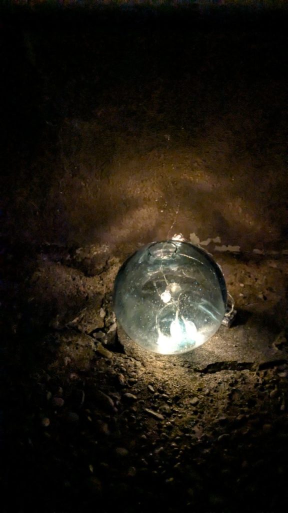 村おこしボランティア【保戸島コース】での活動の様子