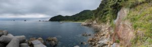 村おこしボランティア【保戸島コース】での活動の様子