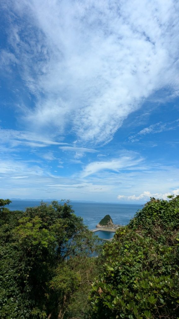 村おこしボランティア【保戸島コース】での活動の様子