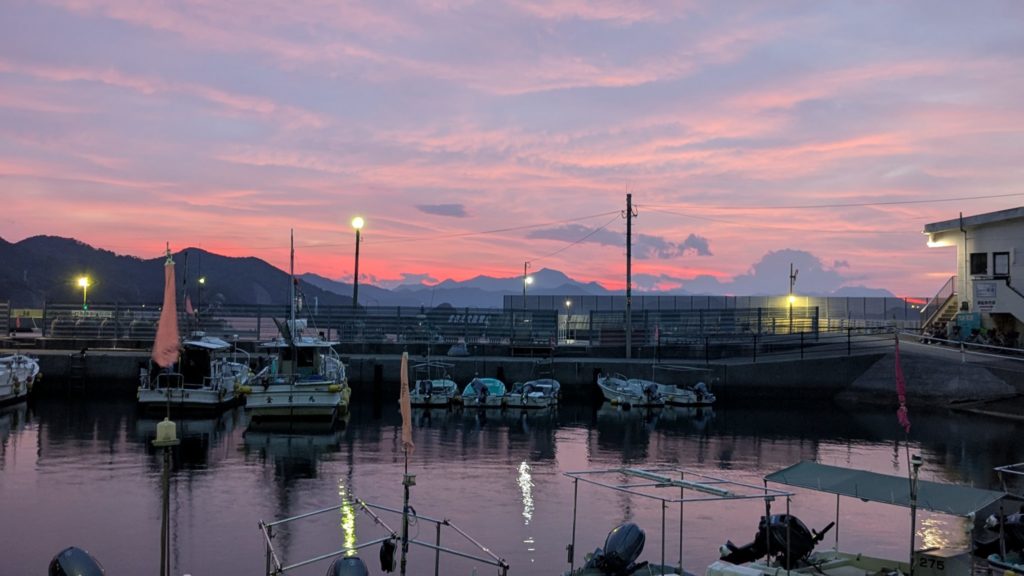 村おこしボランティア【保戸島コース】での活動の様子